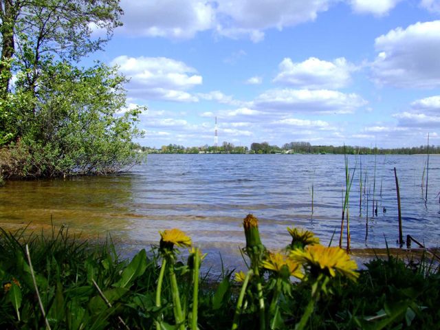 Весняний берег озера Чорне Велике біля Шацька