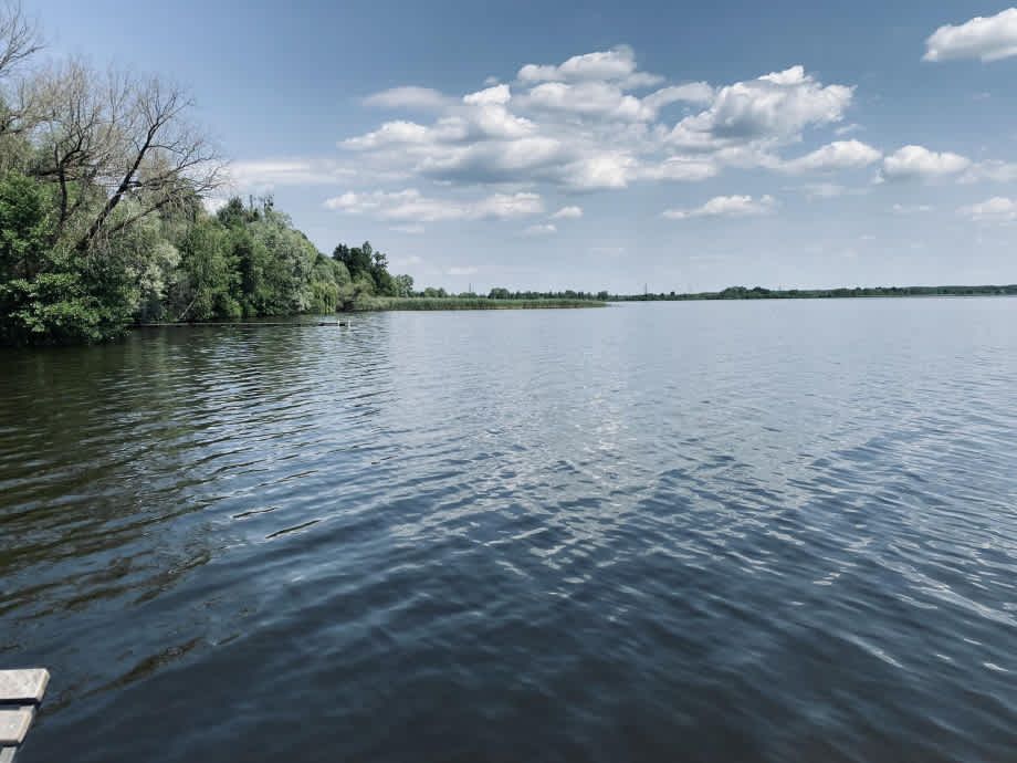 Водне плесо озера Люцимер із зеленим прибережним лісом під літнім небом