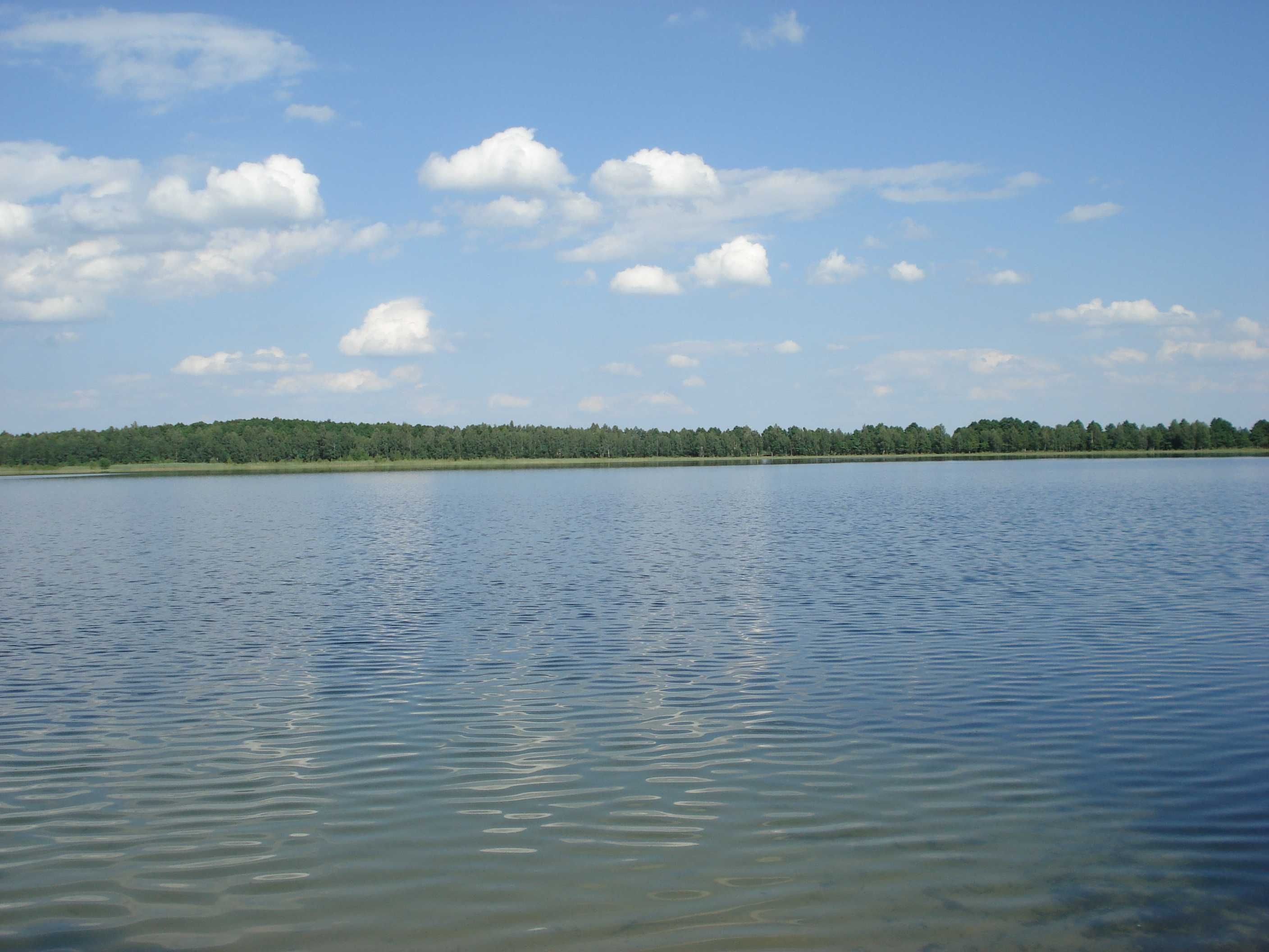 Спокійне плесо озера Луки під літніми хмарами